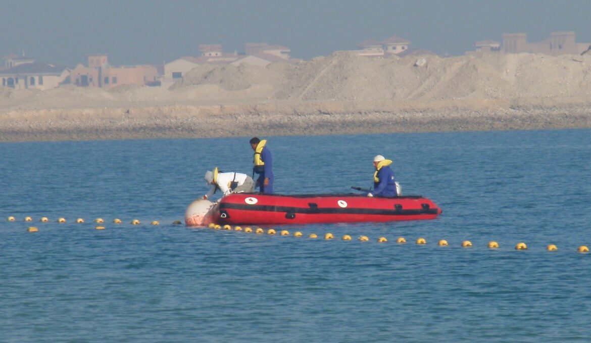 Swimming Lines supply and installation