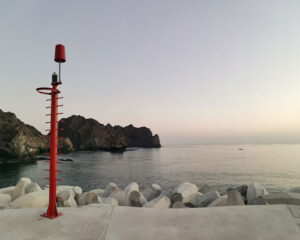 Steel Fixed Markers TM-FS Series